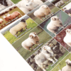 British Sheep Breeds Poster - Image 3