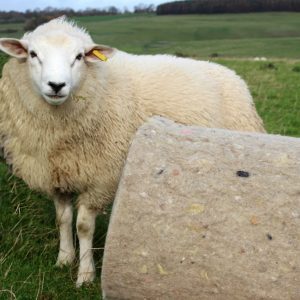 CosyWool Insulation 75mm