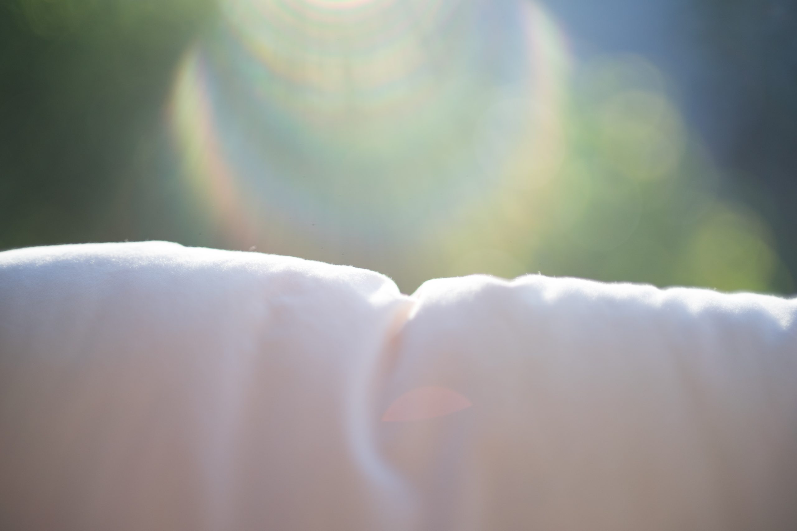 How often should you clean your wool bedding? British Wool