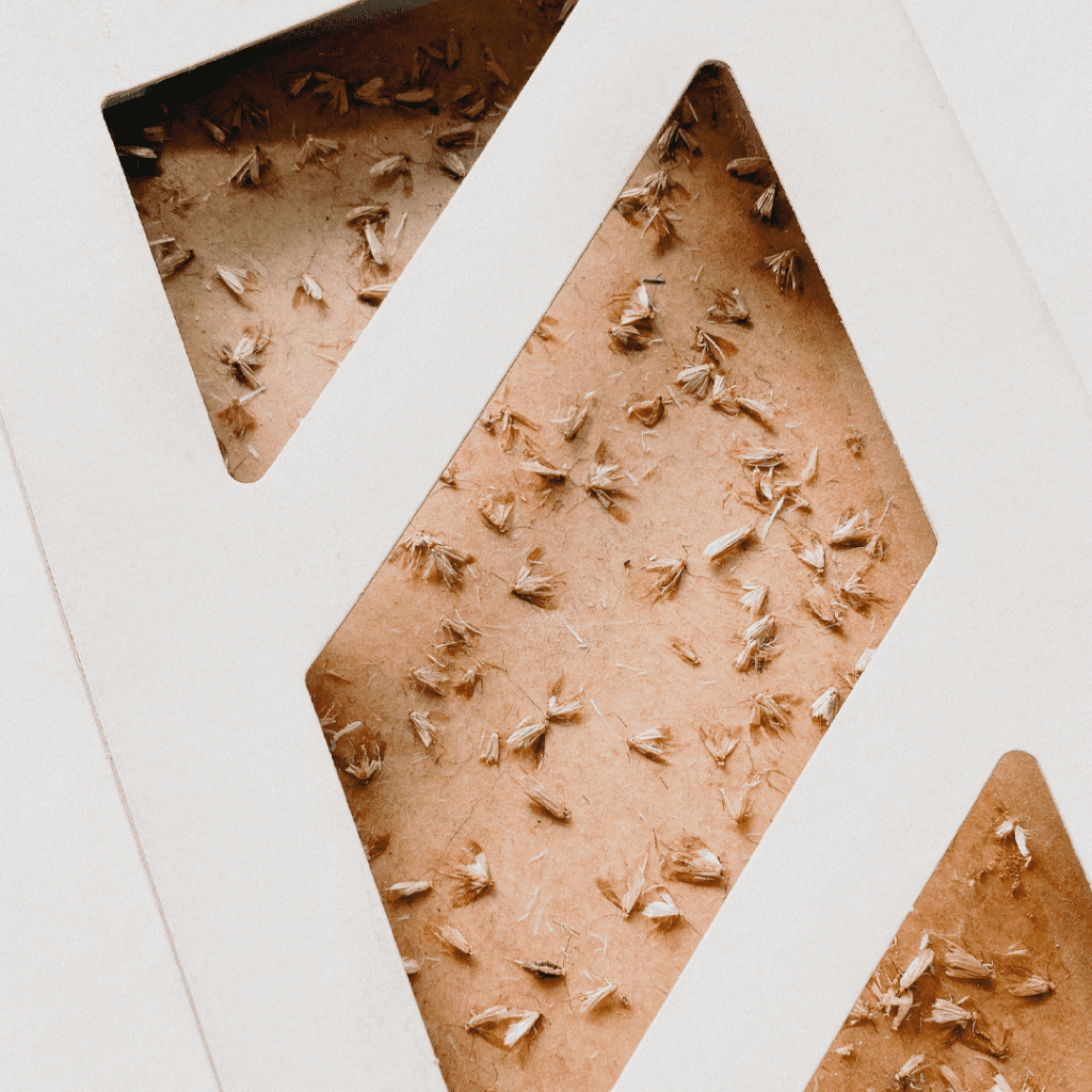 Deterring Moths with Nature British Wool