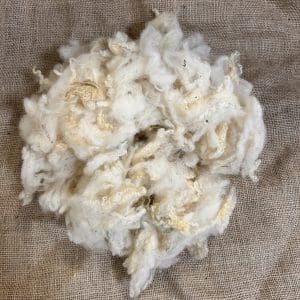 Scoured Bluefaced Leicester Cross Wool